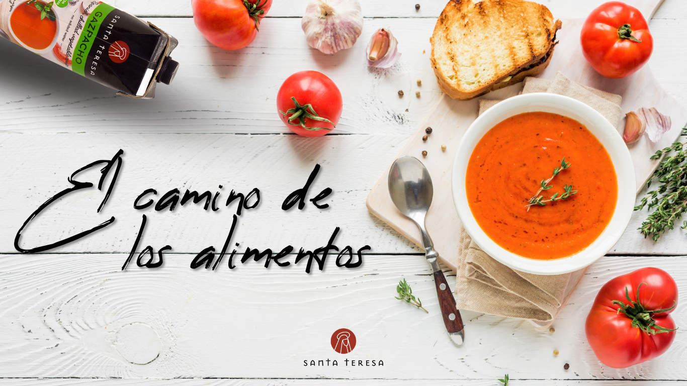El camino de los alimentos