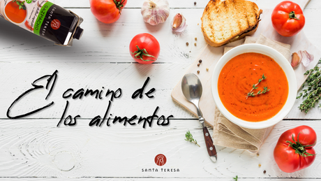 El camino de los alimentos