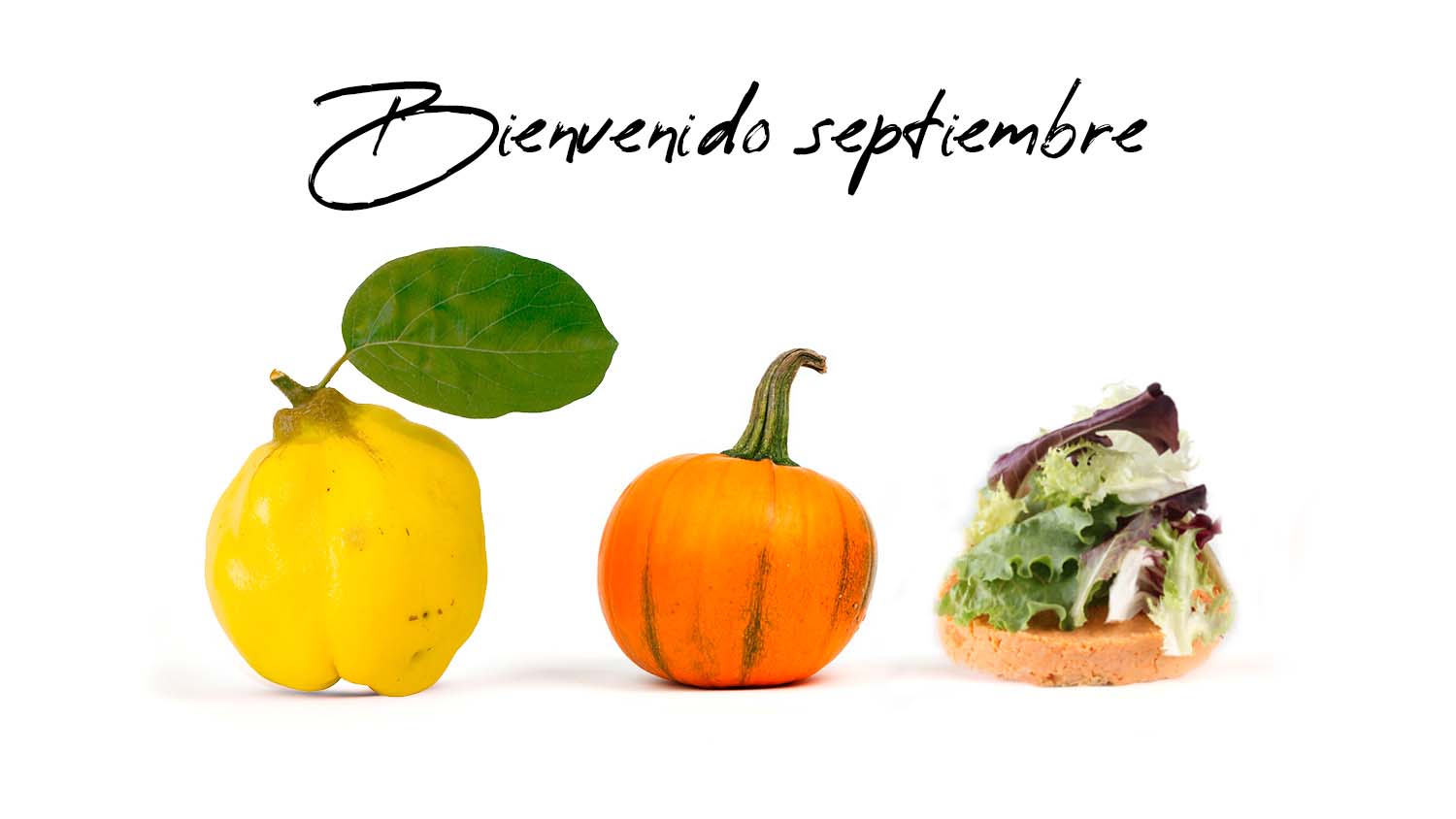 Alimentos de temporada en septiembre