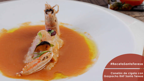 Receta de Canelón de cigala con Gazpacho Raf Santa Teresa