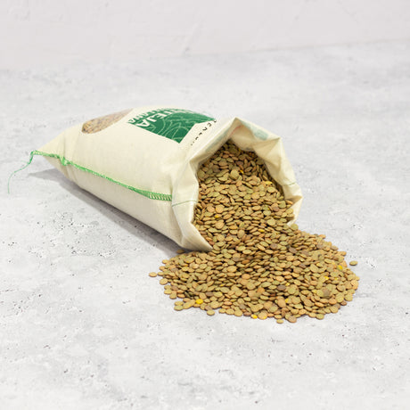 Lenteja Castellana Santa Teresa 1kg