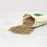 Lenteja Pardina Santa Teresa 1kg