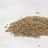 Lenteja Pardina Santa Teresa 1kg